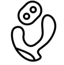 Prostaat Vibrators