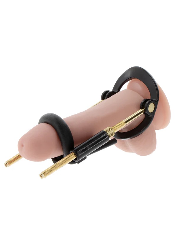 Penis Growth Basic Training Set - Hidden Desire