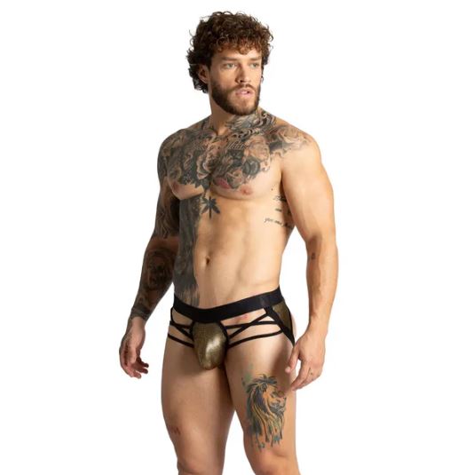 GIGO Shinese Brief - Goud