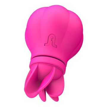 Oplaadbare Clitoris Stimulator met 5 Opzetsukken