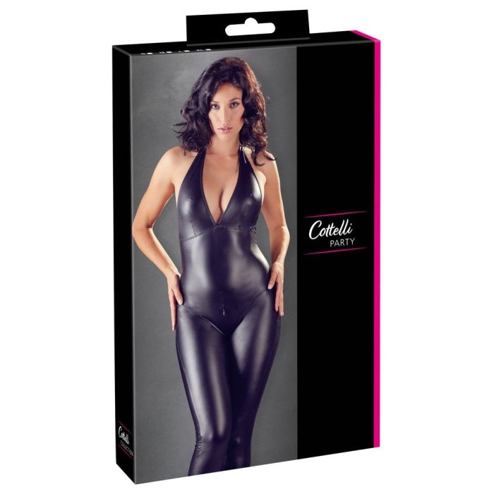 Feestelijke Catsuit-feestelijke-catsuit-verpakking.jpg