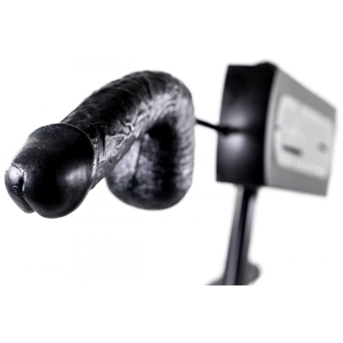 Anaal Dildo Cockster - Zwart-hunglock-cockster-20-x-6-cm_8_.jpg