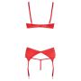 Driedelig BH Set met Jarretel in het Rood-22209623231-hollow-rs.jpg