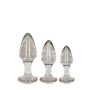 Buttplug Set met Glitters-buttplug-set-met-glitters.jpg