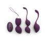 Rimba - Rimini Kegel Bal Training Set - Paars-rimba-rimini-kegel-bal-training-set-paars.jpg