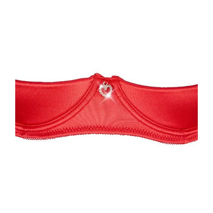 Driedelig BH Set met Jarretel in het Rood-22209623231-det.jpg