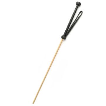 Hidden Desire BDSM Obedience Cane