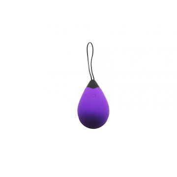 Remote Control Egg G1 Oplaadbaar - Paars