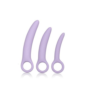 Set van 3 Paarse Dilators by Laura Berman-set-van-3-paarse-dilators-by-laura-berman.jpg