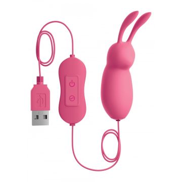 Vibrerende Rabbit Bullet met Vaste Afstandsbediening - Roze
