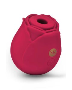 Clitoris Vibrator Rosegasm