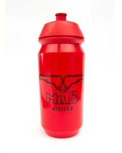 Fles Mister B - 500ml