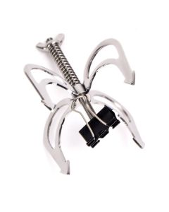 RVS Drakenklauw - Zilver