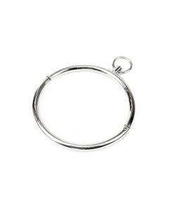 RVS Halsband Cathedral
