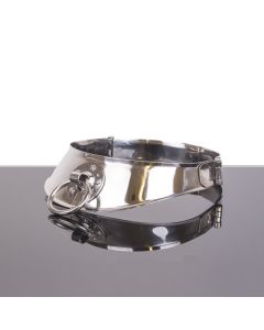 Stalen Halsband