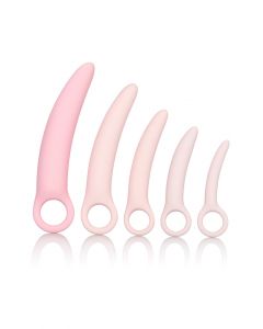 Inspire Vaginisme Dildo Set - 5 Stuks