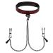 FSOG halsband met tepelklemmen