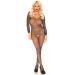 Sparkly Doorschijnende Bodystocking