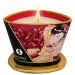 Shunga Massage Candle 170ml -Strawberry Shunga Massage Candle 170ml -Strawberry