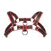 Bulldog Harnas Master Series - Rood