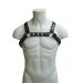 Mister B Leren X-back Harnas S/M
