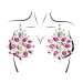 Phoenix Nipple Jewels Sticker