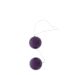 Paarse Vibrerende Duo Ballen