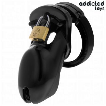 Addicted Toys Kuisheidskooi Forbidden Vault - 10 cm