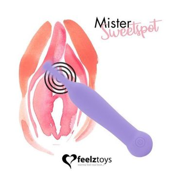 Clitoris Stimulator Mister Spot  - Paars