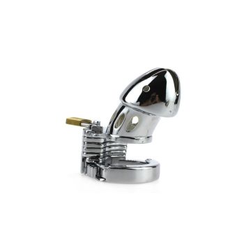 Metalen Peniskooi Modula - Zilver