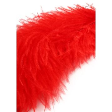 Hidden Desire Kietelaar Double Feather - Rood