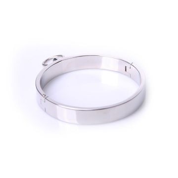 Stalen Halsband - Large