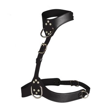 XR Brands Borsten Harnas Vixen - Zwart