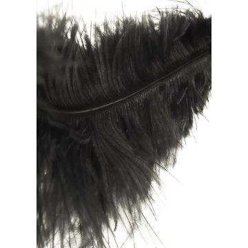 Hidden Desire Kietelaar Double Feather - Zwart