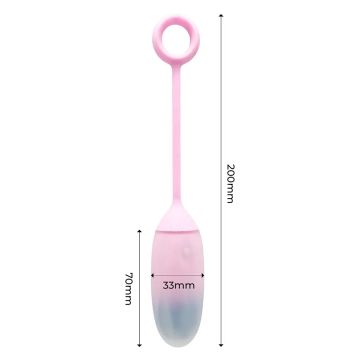 Vibrerend Ei Met App IY - Roze/Blauw