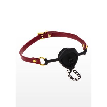 Kinky Gag met plug