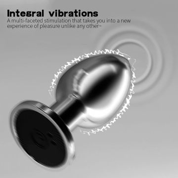 Vibrerende Buttplug Aluminum met Afstandsbediening - Small