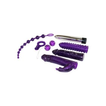 Paarse vibrator Set