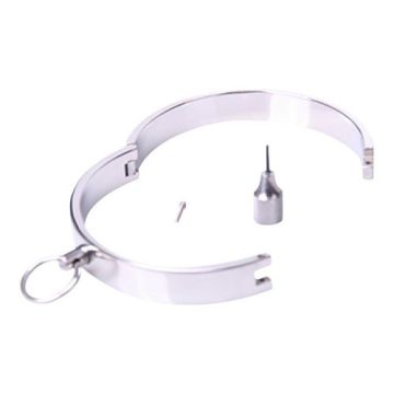 Kleine metalen halsband