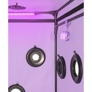Gesloten BDSM Cabine Scandale - Paars