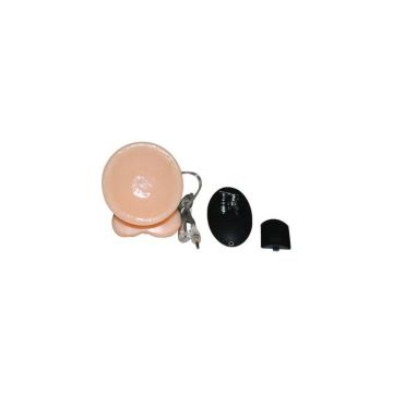 Vibrator Realistisch met afstandsbediening - 15 cm