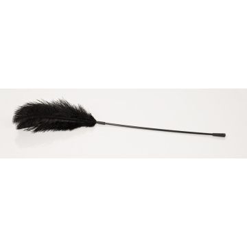 Grote Veer Bad Kitty - Zwart