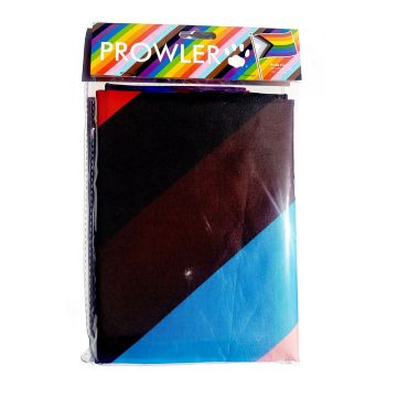 Regenboog Vlag
