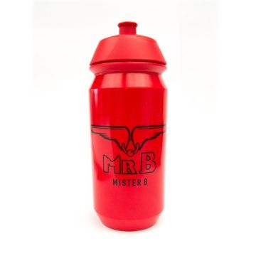 Fles Mister B - 500ml-fles-mister-b-500ml.jpg