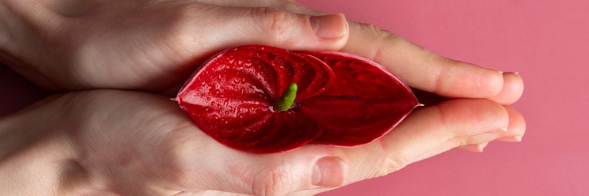 Schaamlippen zonder schaamte: hou van je vulva